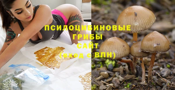 Альфа ПВП Балабаново
