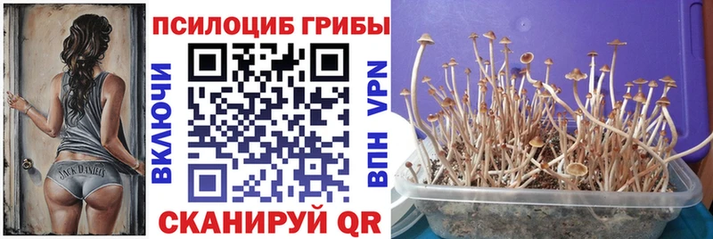 цена наркотик  Льгов  Псилоцибиновые грибы Magic Shrooms 